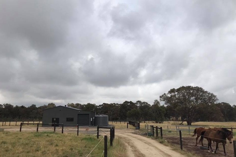 A Couple of Horses Are Standing in a Field Next to a Dirt Road — ShedPro Constructions in Smiths Lake, NSW