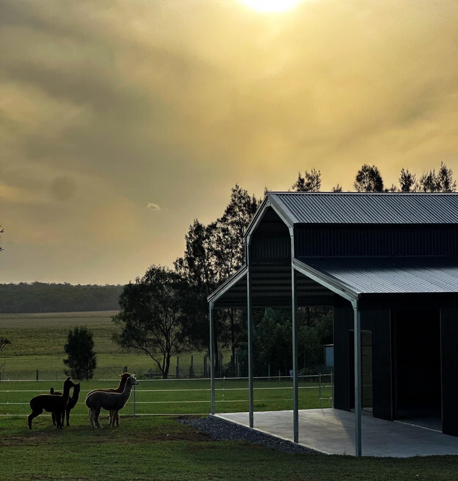 Alpacas Standing Infront Of Custom Barn With Garaport — ShedPro Constructions in Kempsey, NSW