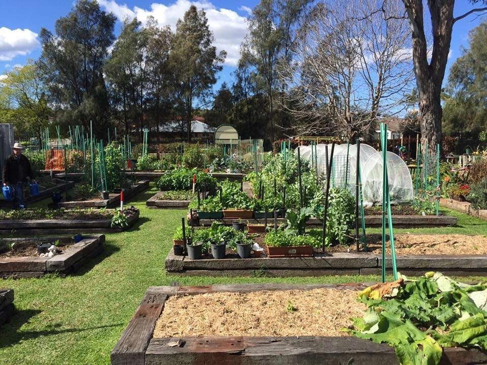 A Garden with Plants and Trees — ShedPro Constructions in Darawank, NSW