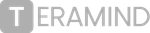 Logotipo da Teramind. Texto cinza sobre fundo branco, com a inicial 