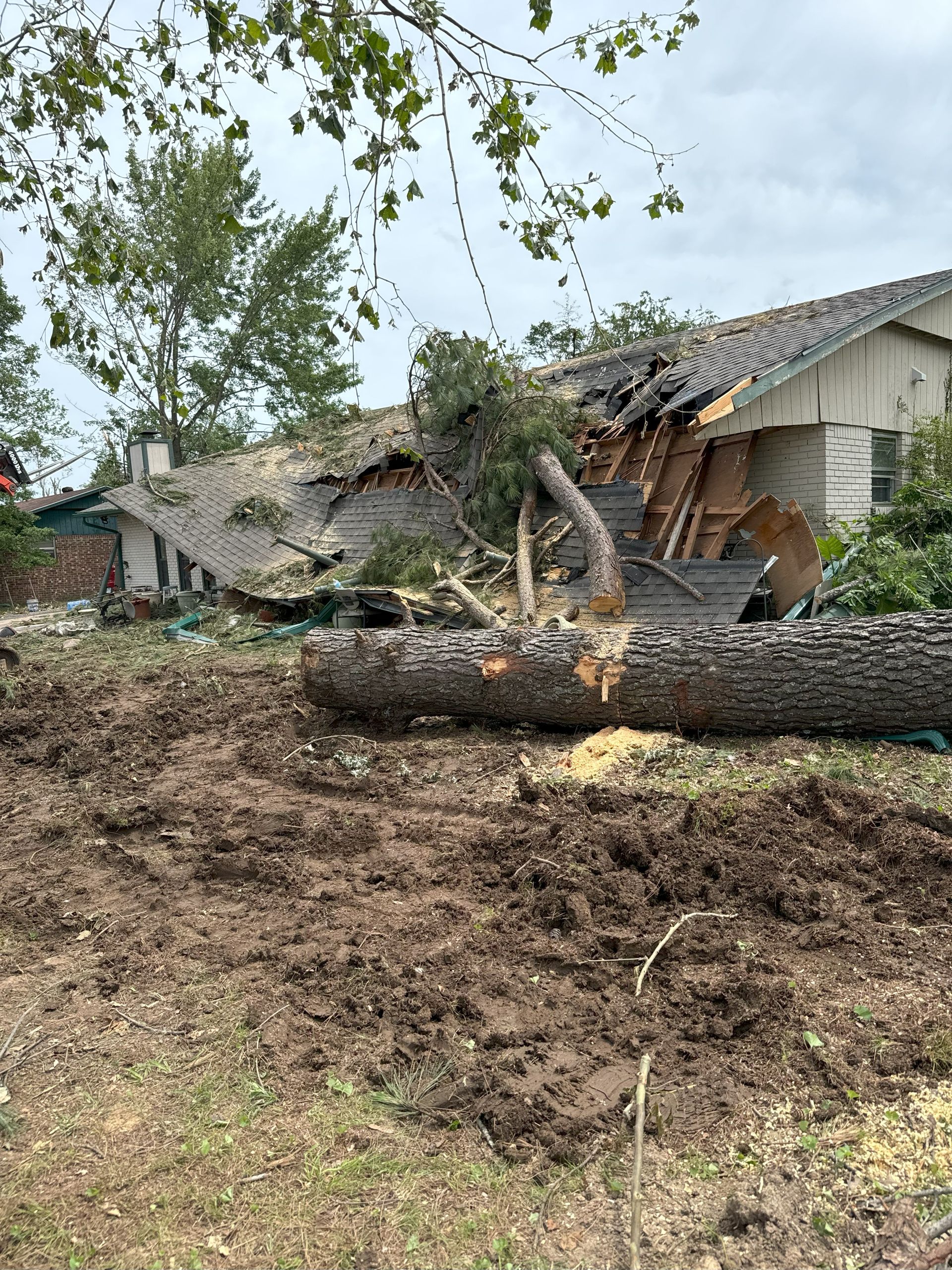 Cottrell's White River Tree Removal