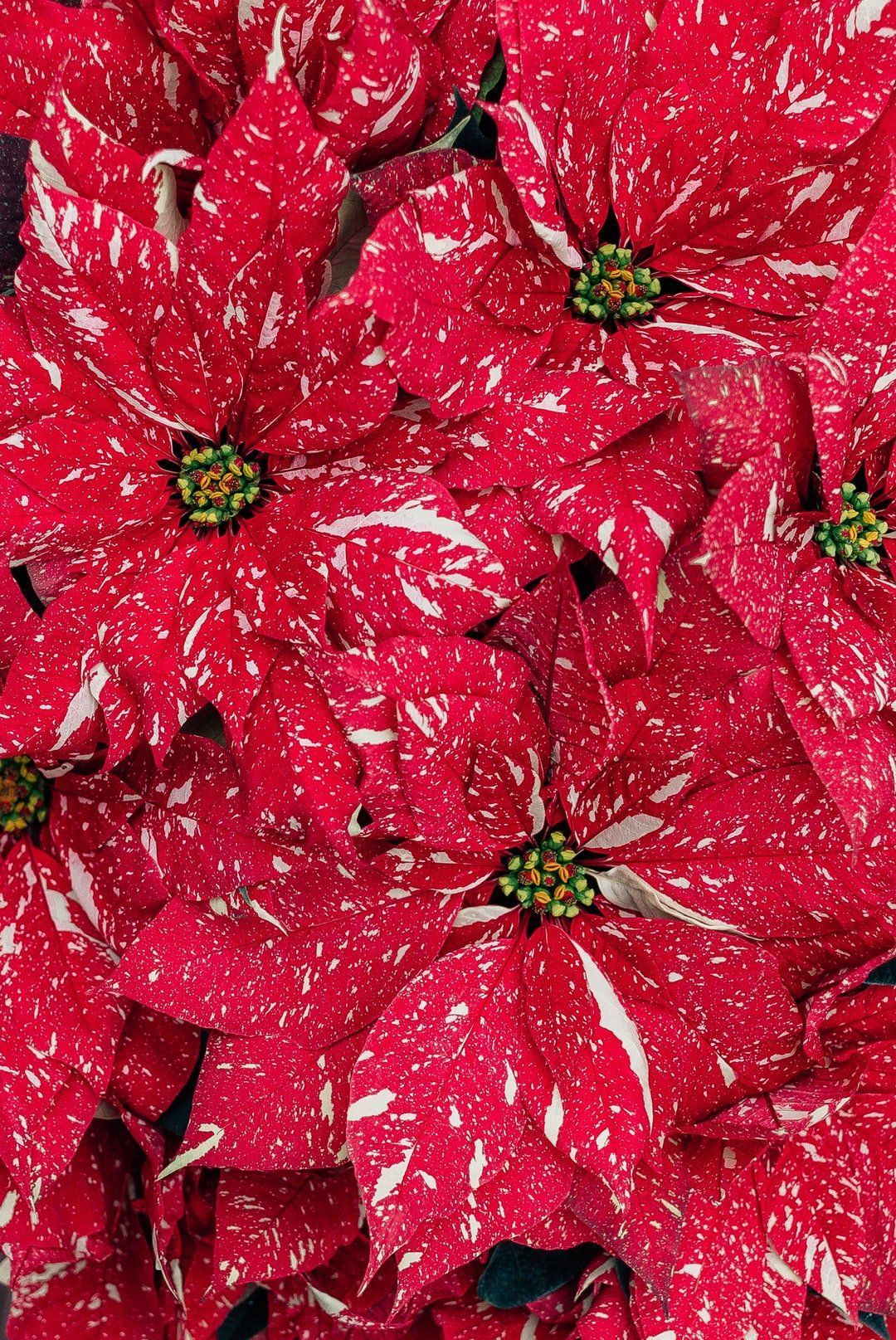 Motivate Your Team with a Seasonal Tradition