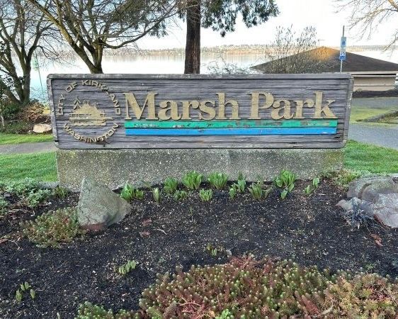 Mobile dog grooming services near Marsh Park in Kirkland, performed by Urban Doggie