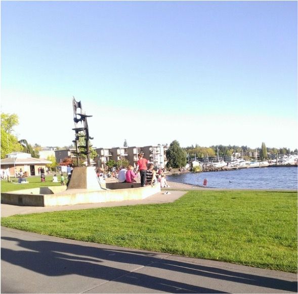 Urban Doggie Mobile Dog Grooming service location Moss Bay neighborhood Kirkland WA