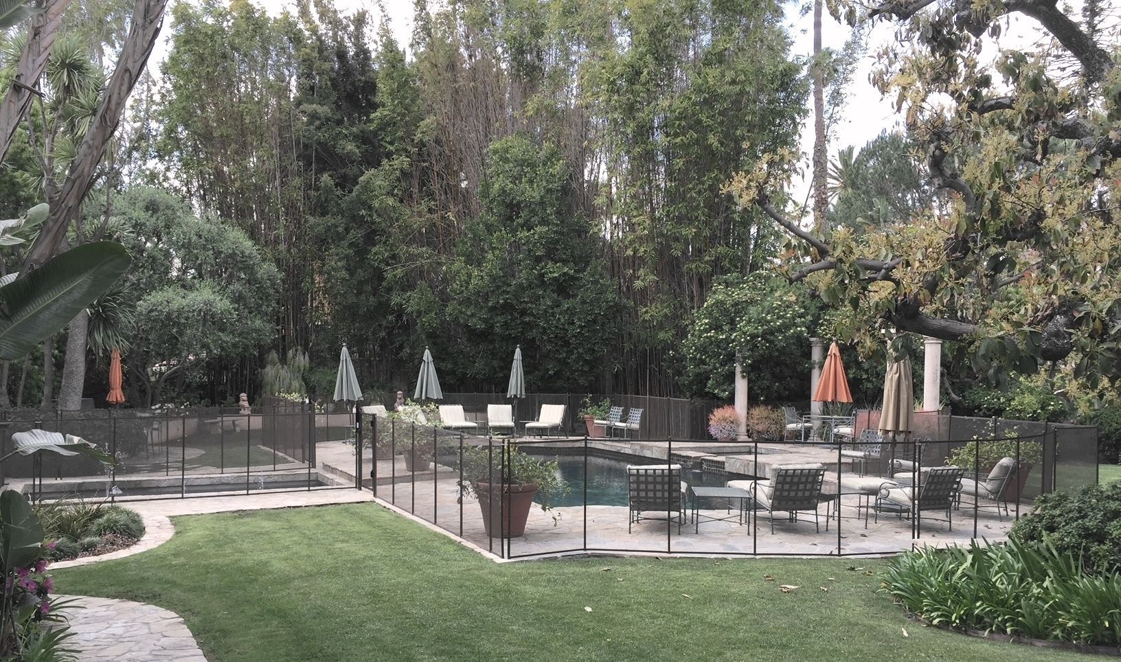 Lush backyard with pool, safety fence, lounge chairs, and umbrellas surrounded by trees and greenery.
