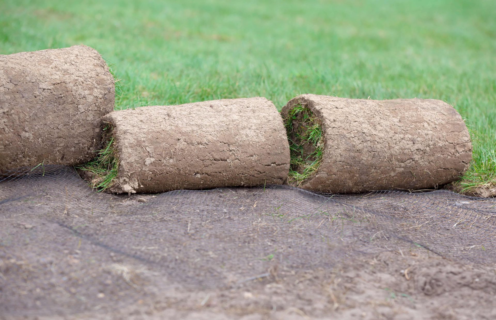 Three rolled hay bales on a dirt path beside green grass, one partially tipped over
