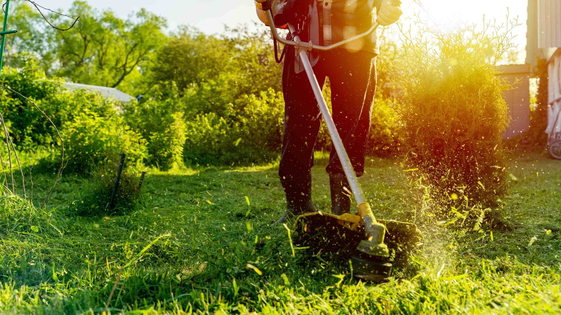Person using a string trimmer in a sunny green garden, cutting grass with debris spraying.