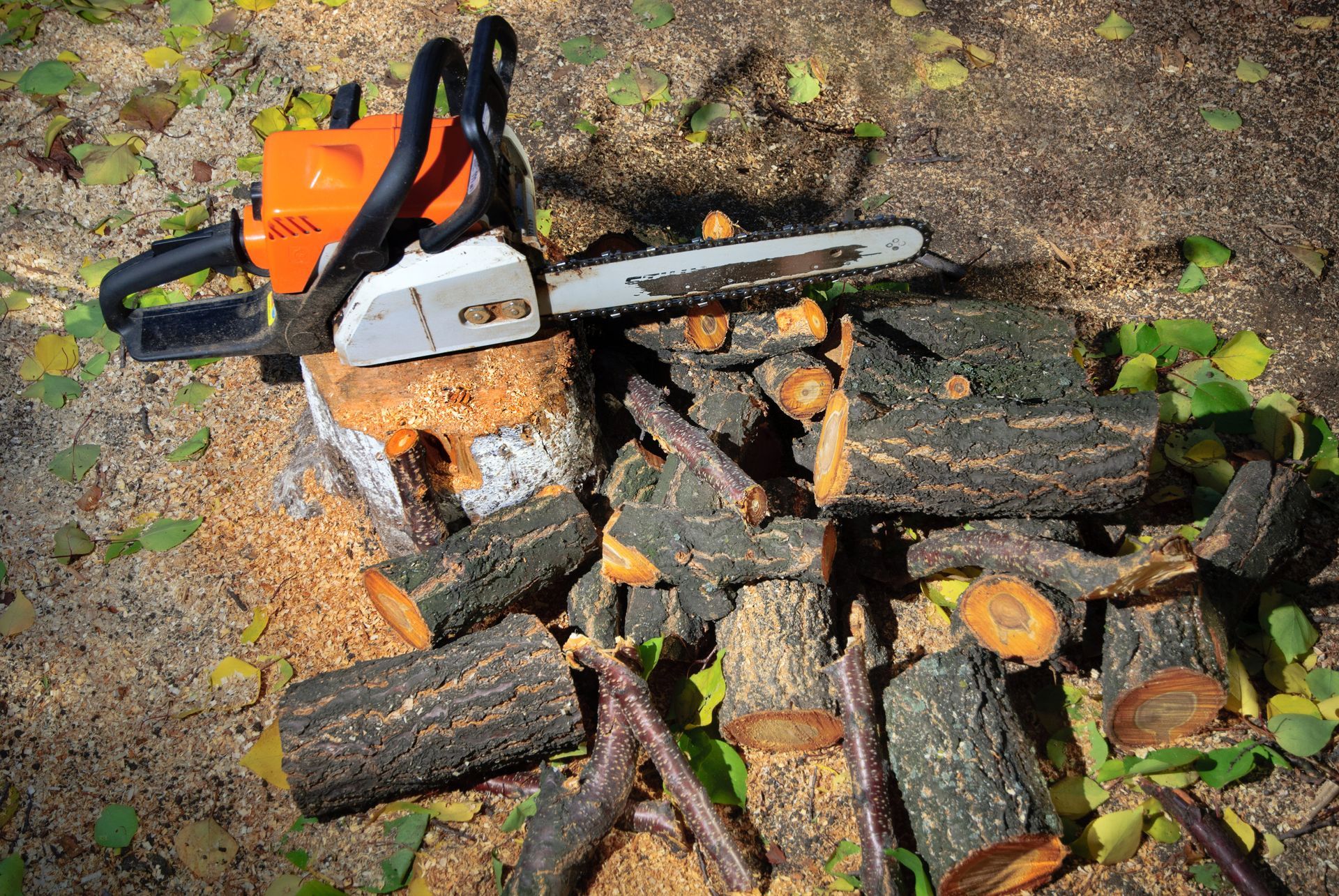 A chainsaw is sitting on top of a pile of logs.