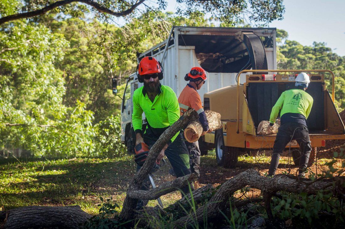 A group of men are standing next to a tree chipper.