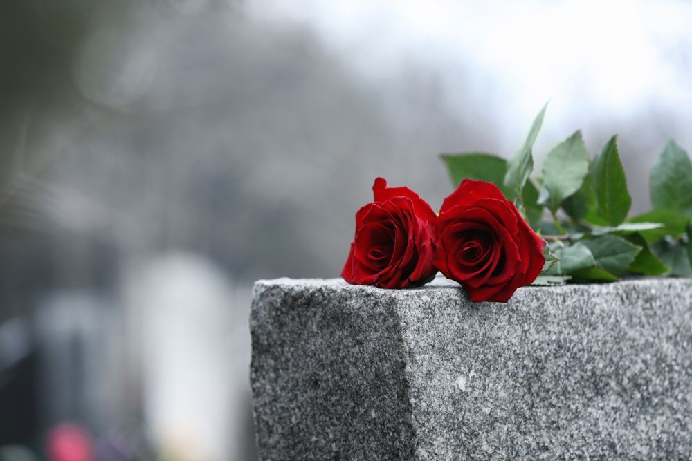 Two bright red roses resting on a grey stone memorial against a soft-focus background.