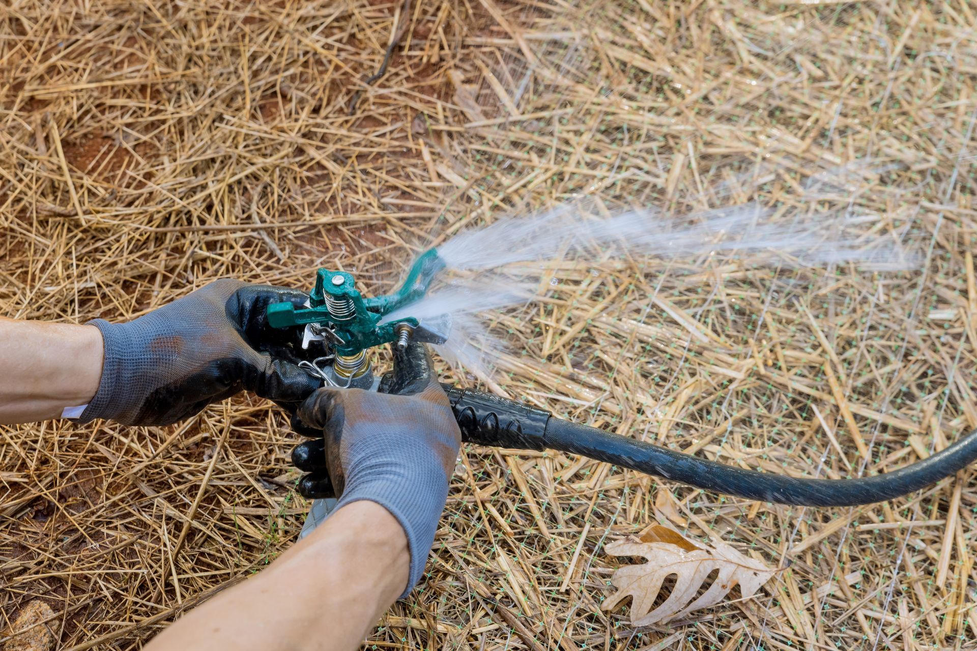 Unrecognized contractor hands installing lawn sprinkler system near new home. Unrecognized contractor hands installing lawn sprinkler system near new home.