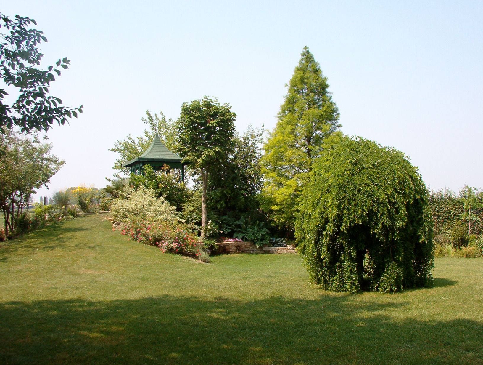 Progettazione giardini