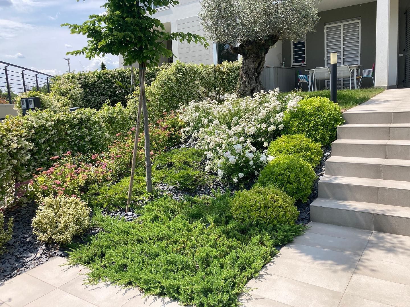Progettazione giardini