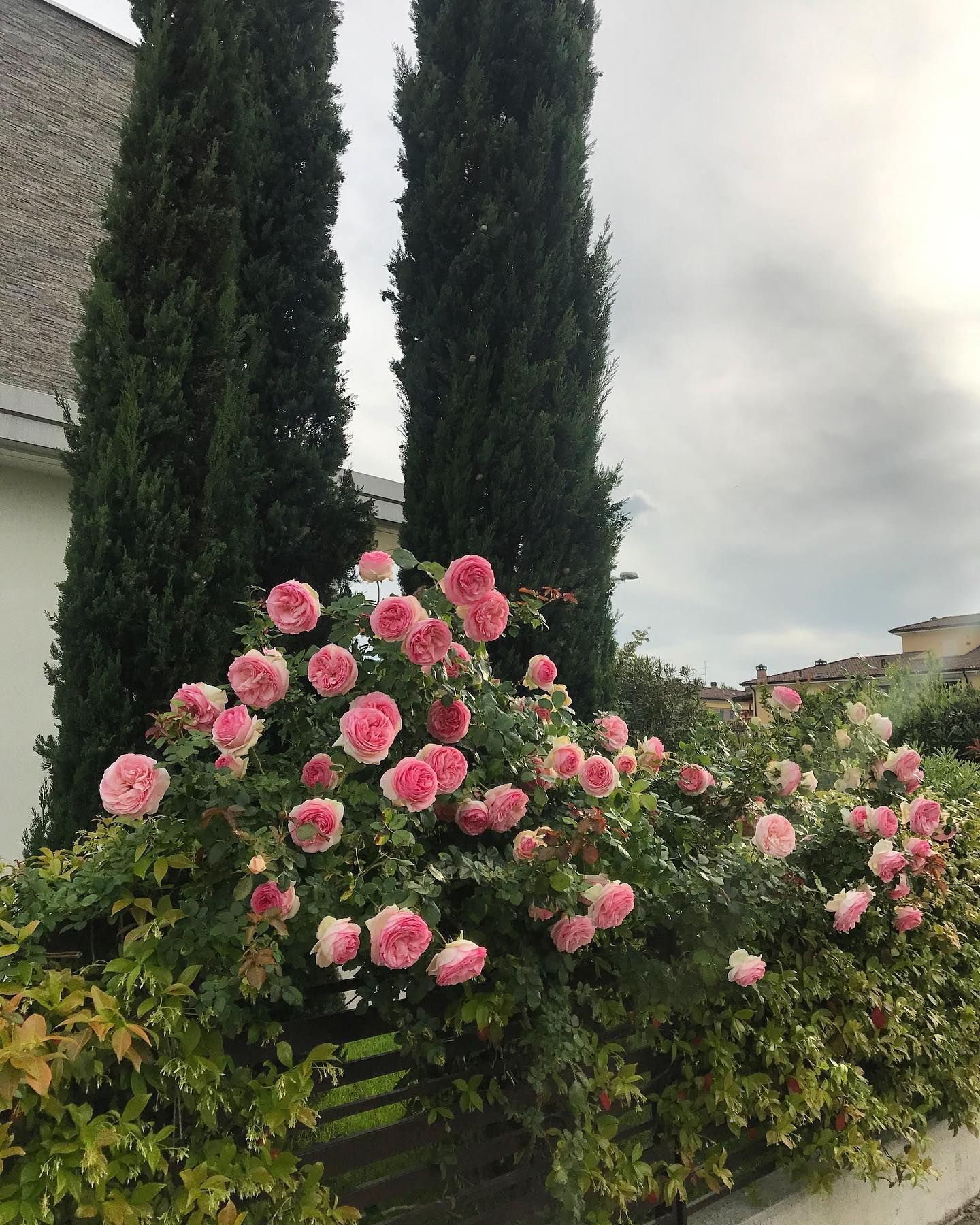 Progettazione giardini