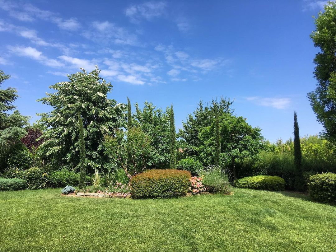 Progettazione giardini