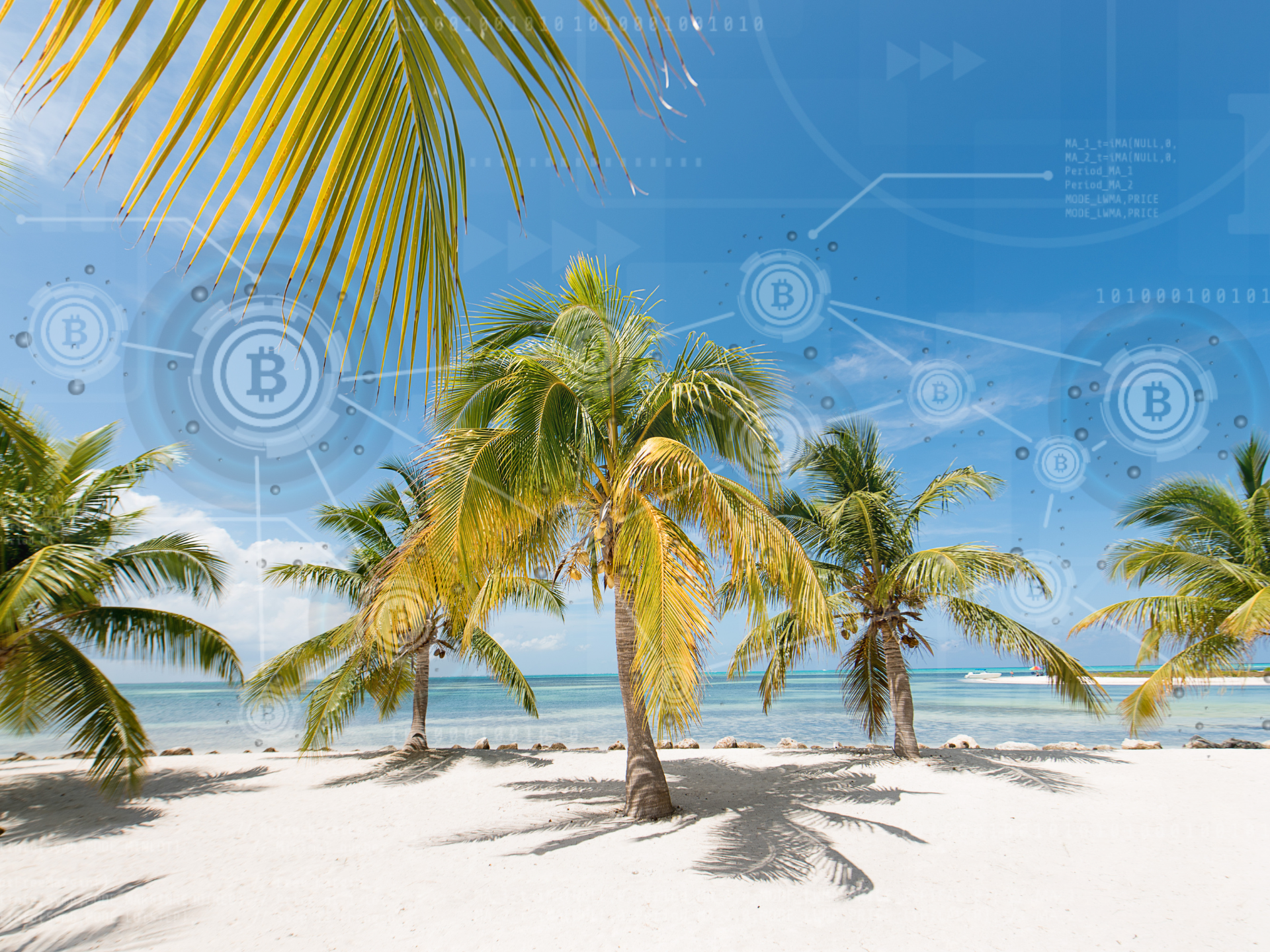 The Cayman Islands: An Emerging FinTech and Crypto Hub