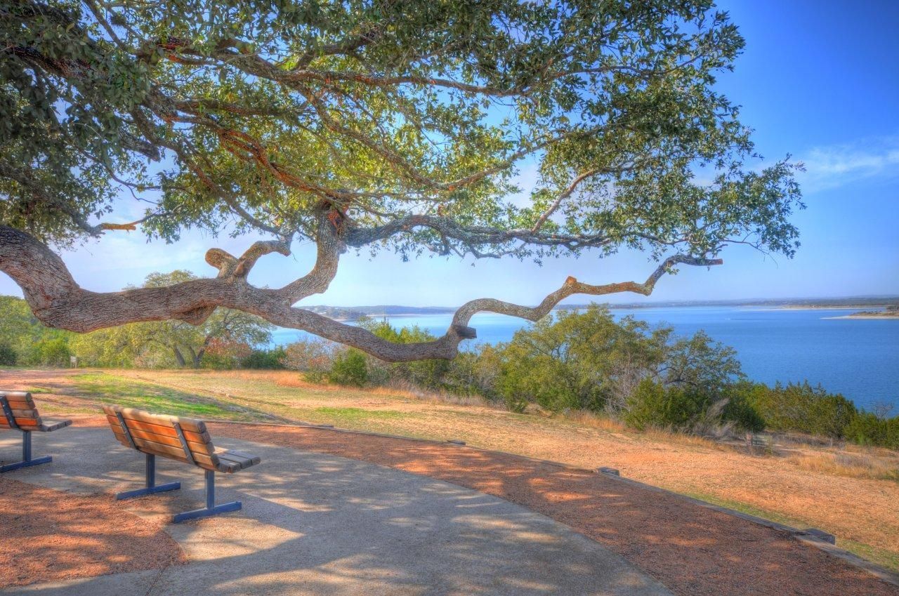 Shaded seaside park with benches, a sprawling tree, and blue water under a clear sky