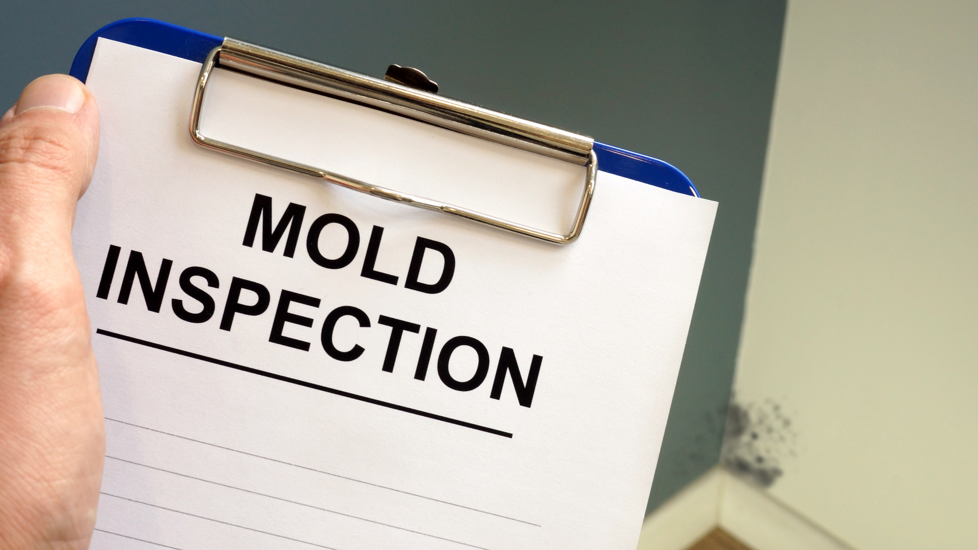 Professional mold inspector holding clipboard during mold inspection with visible mold growth in Florida rental property