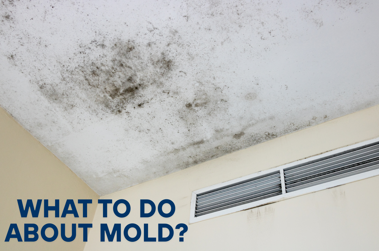 image of mold on the roof of a home next to an AC vent