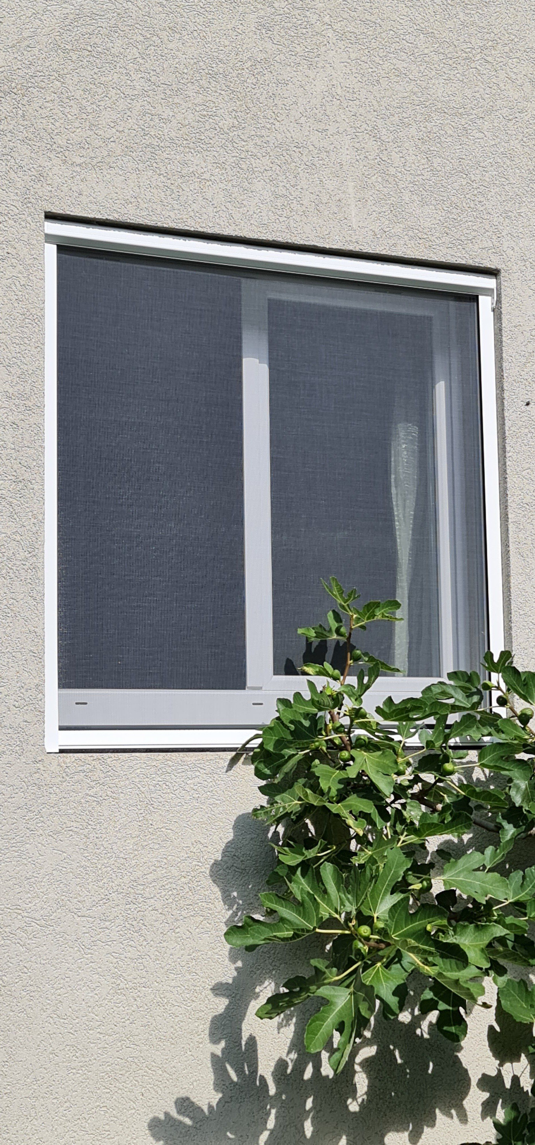 Moustiquaire sur fenêtre