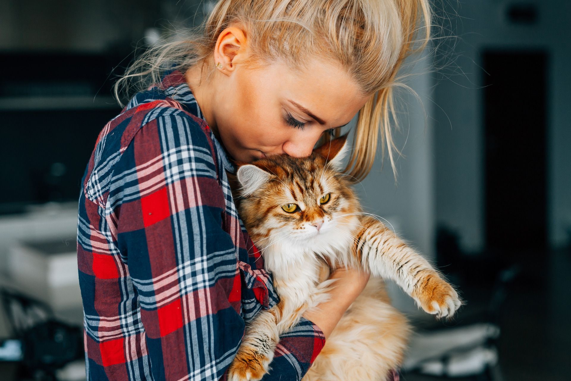 a blonde girl in a plaid shirt holding a brown and white striped long hair cat
