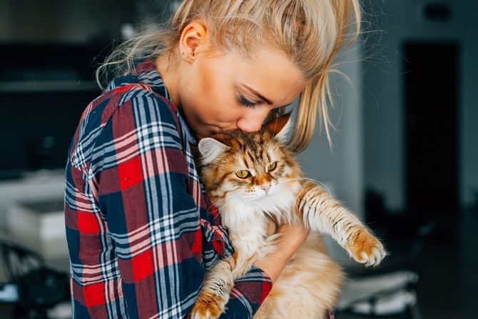 a blonde haired woman in a plaid shirt holding a long haired cat kissing the top of the cats head