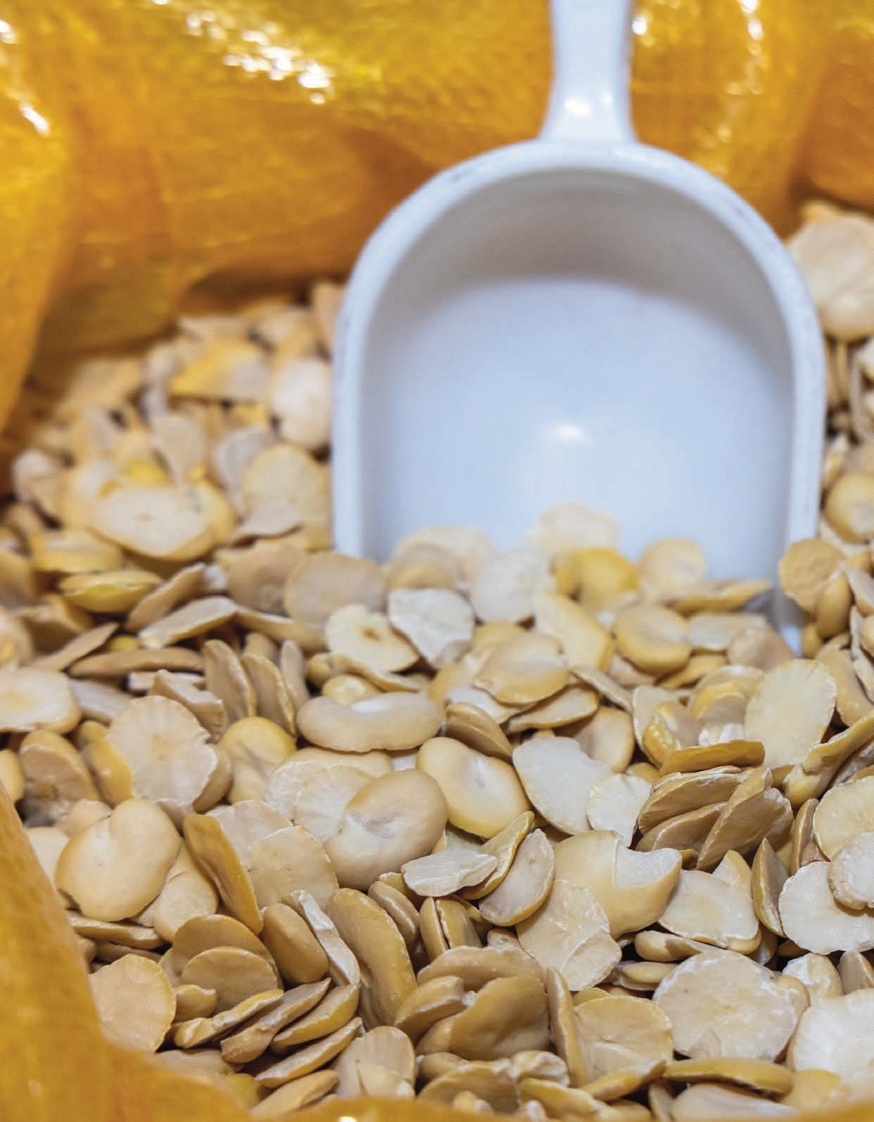 Un sacchetto di fagioli con un cucchiaio dentro