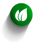 Green circular button with a white leaf icon and soft gray shadow on a white background