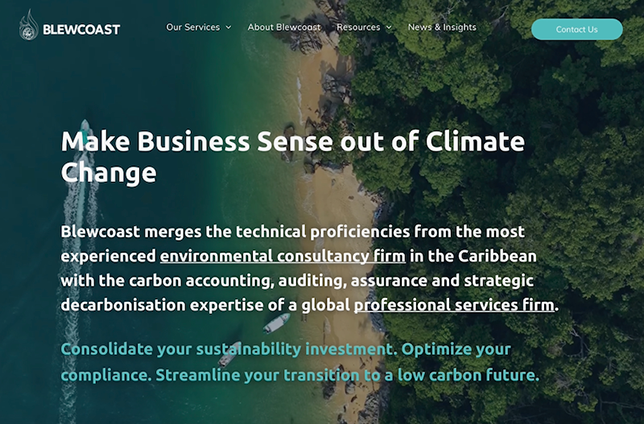 A website for children environmental consultancy