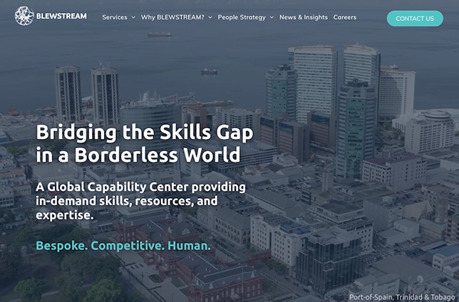 A website bridging the skills gap in a borderless world. A global capability center