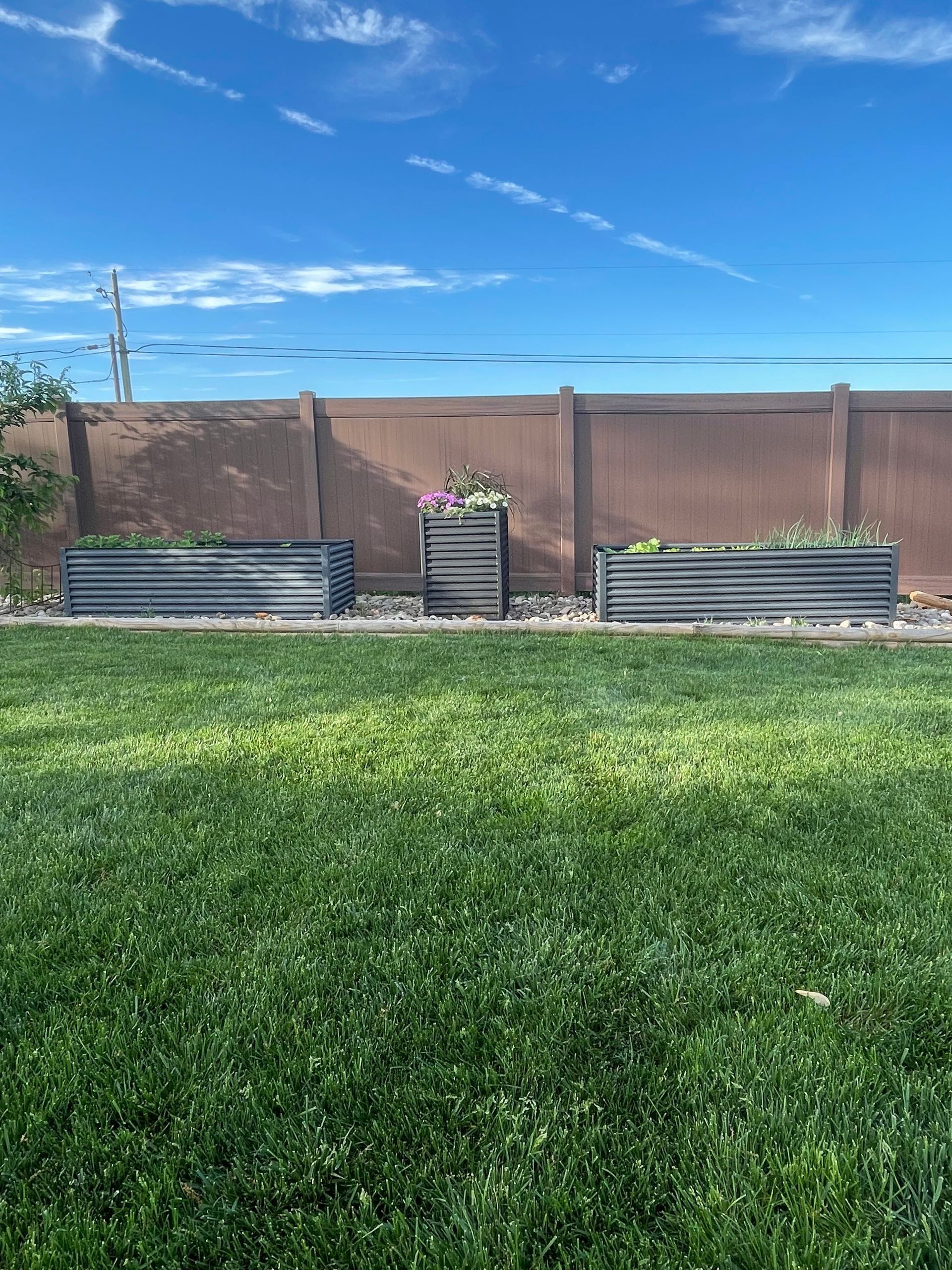 Three gray planters with flowers in a grassy yard, with a brown fence and blue sky.