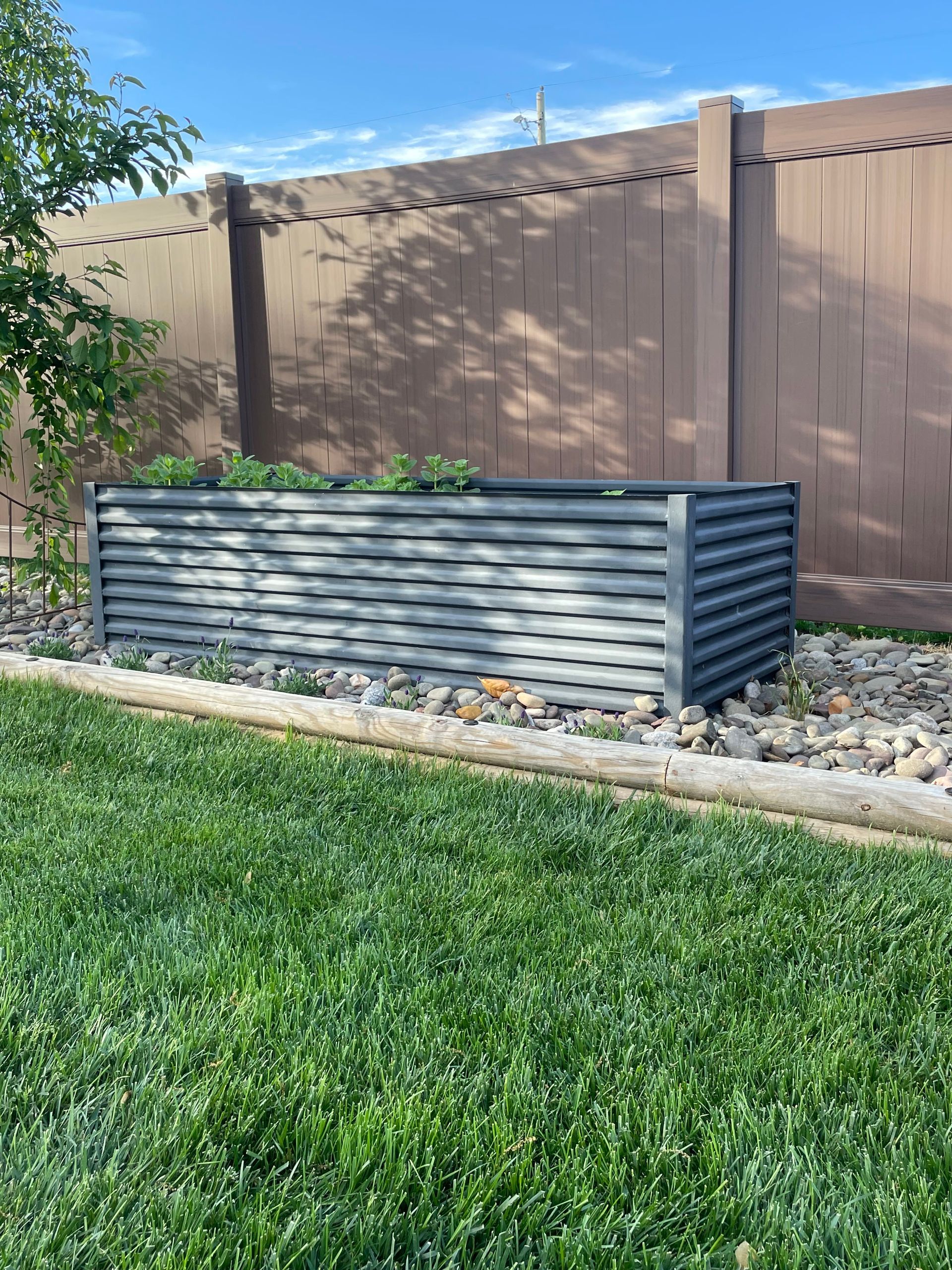 Raised gray metal garden bed in yard with green grass and brown fence.