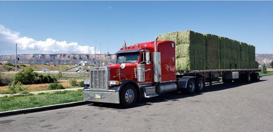 Red semi-truck loaded with hay bales on a flatbed trailer, parked on asphalt in front of a blue sky and mountain range.