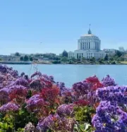 Purple flowers in the foreground with a waterfront and a white domed building in the distance under a blue sky