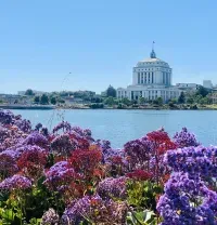 Purple flowers in the foreground with a waterfront and a white domed building in the distance under a blue sky
