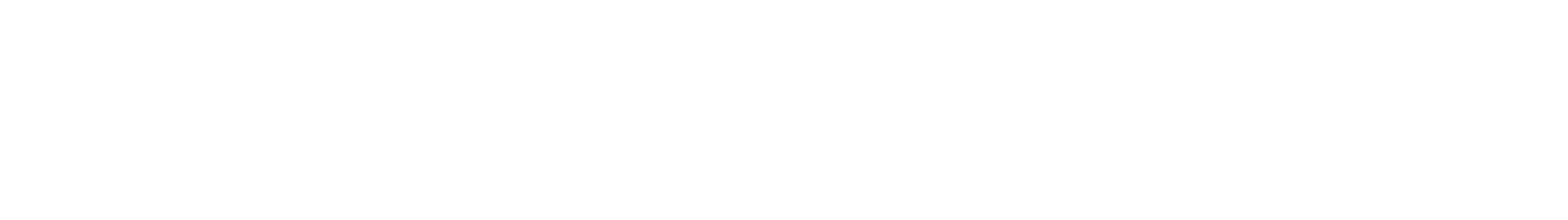 Nova Nesting Postpartum Doula Services Logo