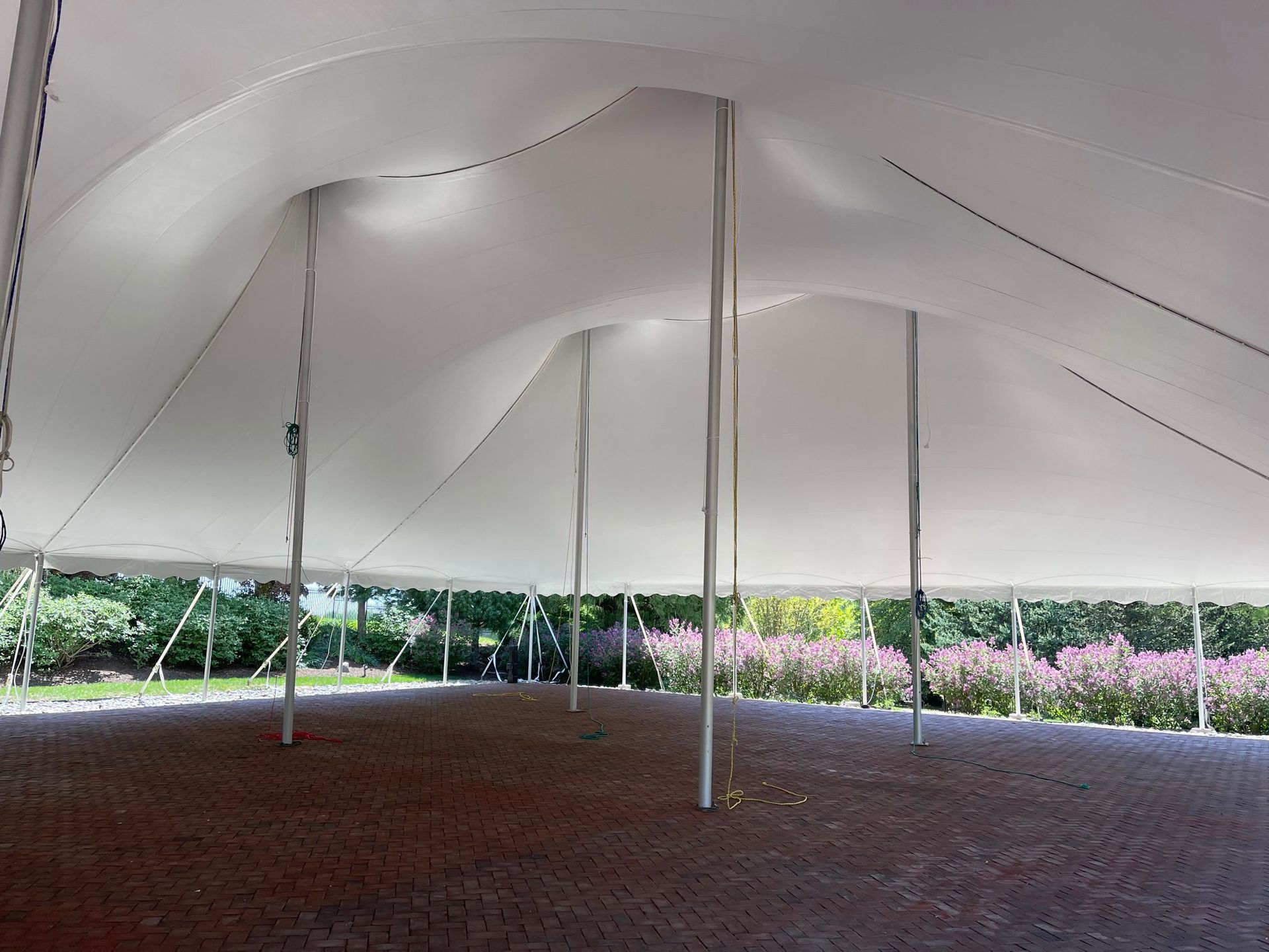 White Big Tents