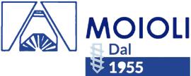 MOIOLI VIRGINIO & RICCARDO LOGO