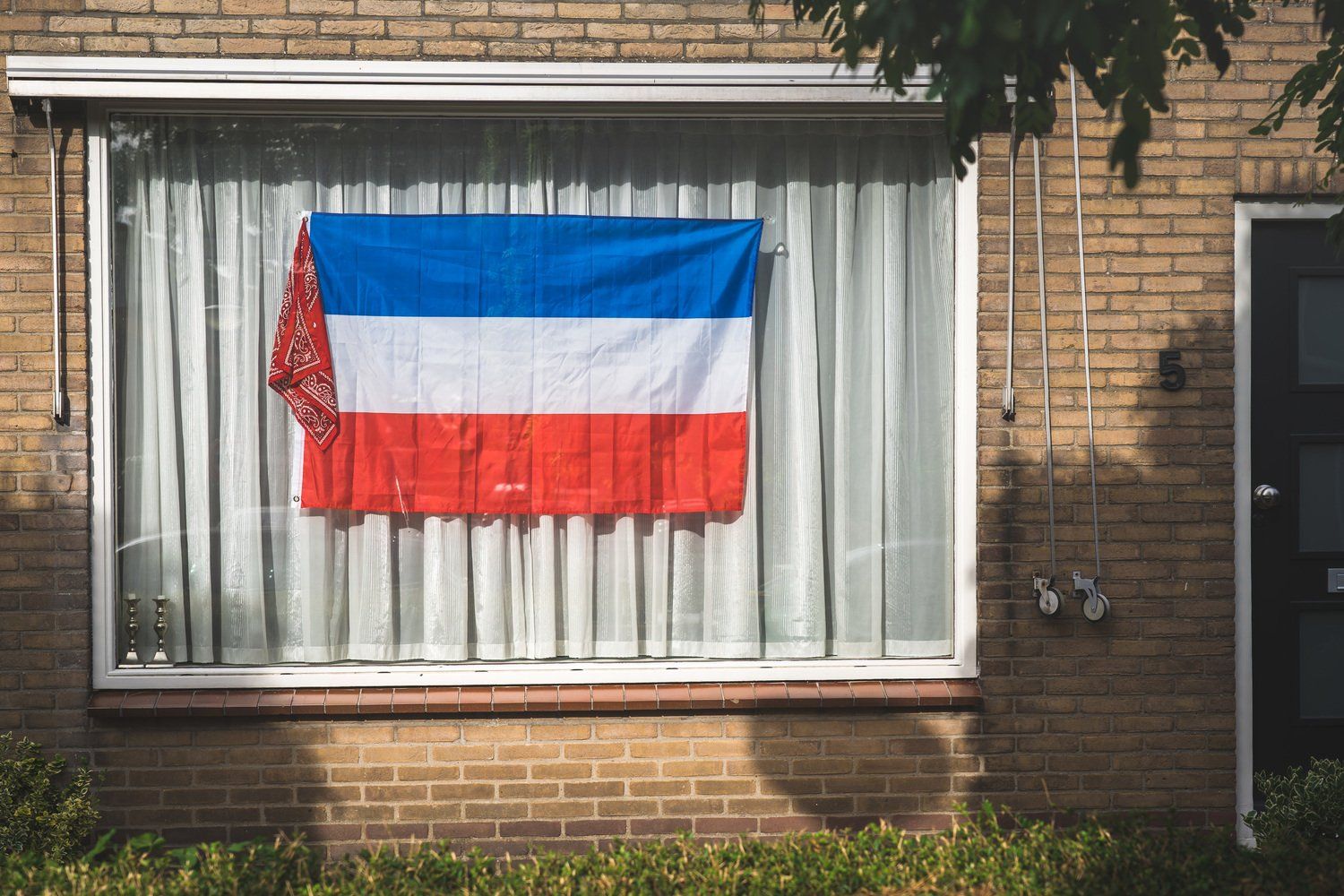 Window Protest