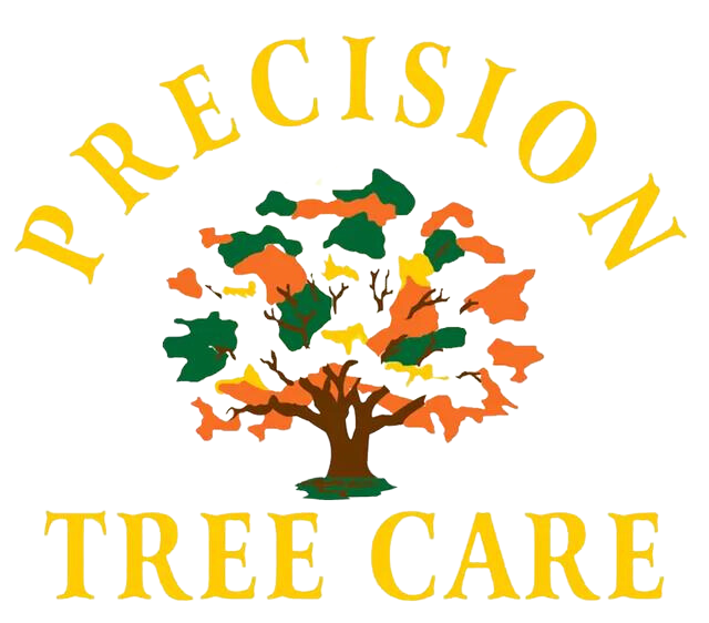 Mercer Tree Service Mercer Tree Service