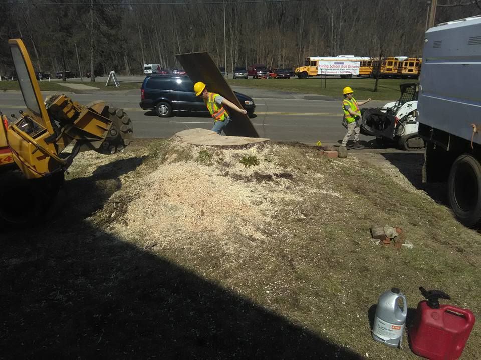Stump grinding a tree trunk — Kalamazoo, MI — Precision Tree Care