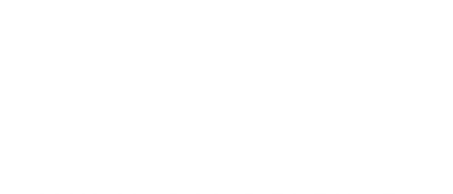$1,000,000 Tax Audit Defence