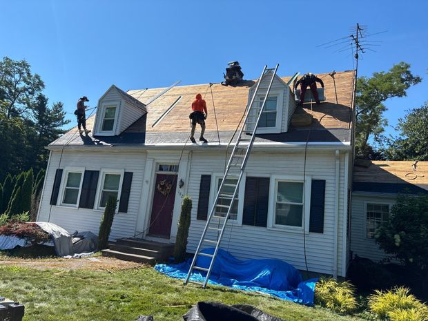 Workers on a white house roof installing shingles, with a ladder and blue tarp in front.