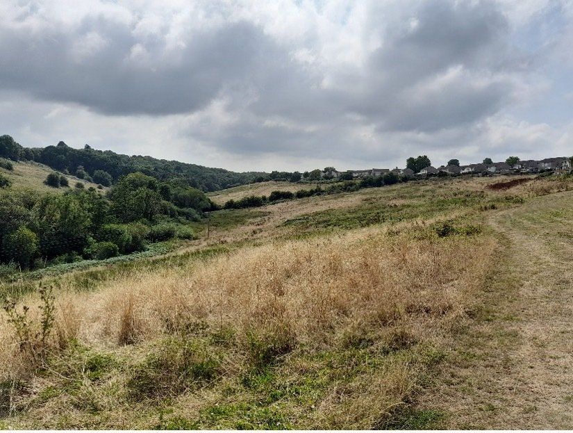 Land to be entered into a grassland enhancement project