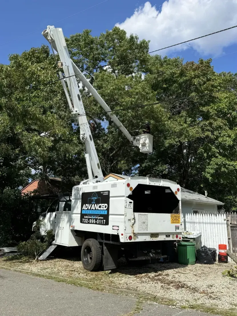 White utility bucket truck with raised boom parked by trees and a house on a sunny day