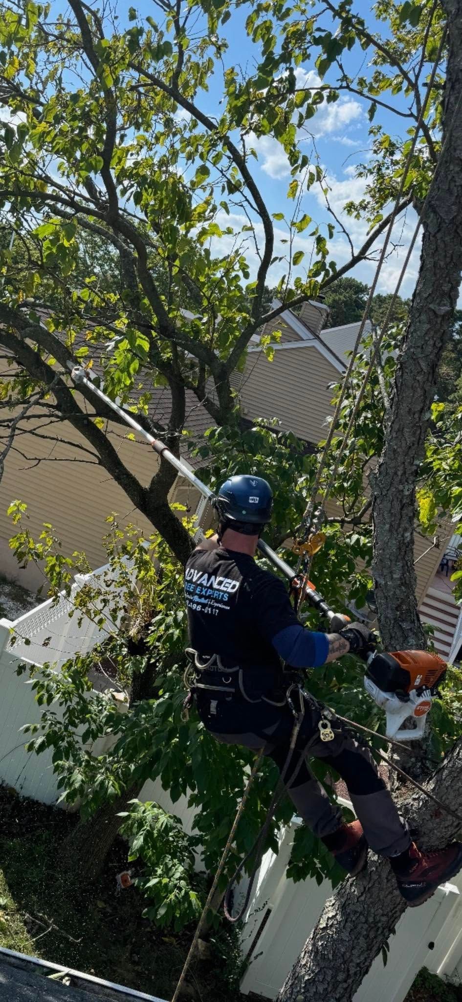 Worker in a blue helmet trimming tree branches beside a house, seen from above.
