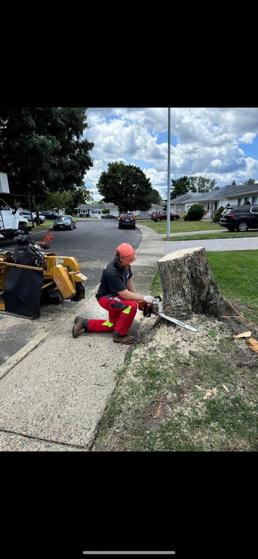 Worker in orange hard hat trimming a tree stump beside a road on a sunny day