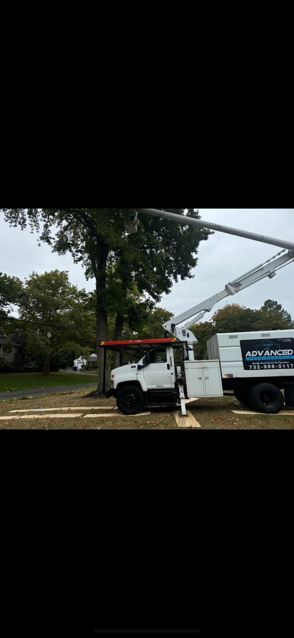 White utility truck with a boom lift parked beside a large tree in a rural area