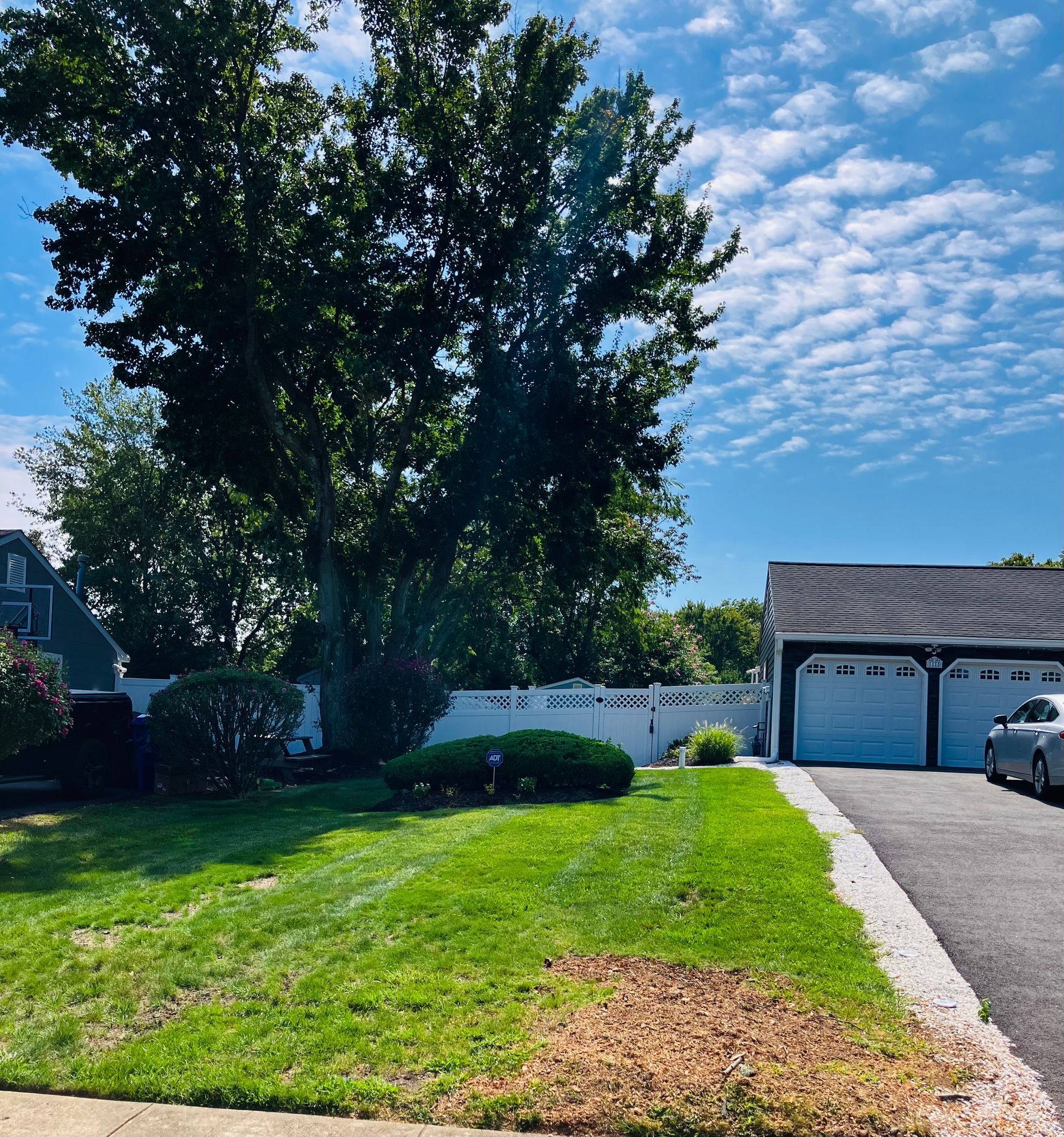 Sunny suburban front yard with large tree, green lawn, driveway, and garage under a blue sky