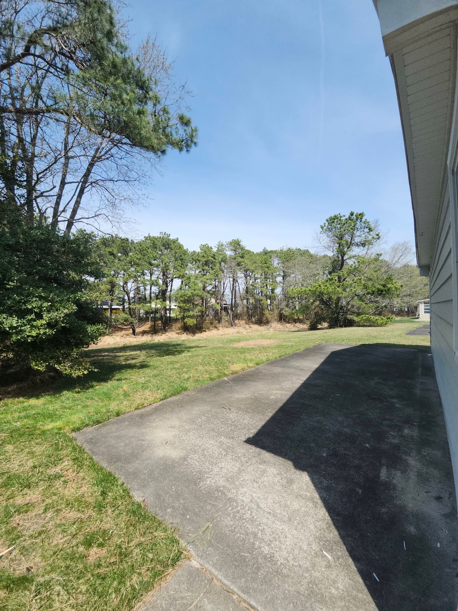 Concrete path beside a white house, leading through a grassy yard with trees under a blue sky.